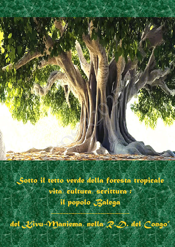 Copertina di Sotto il tetto verde della foresta tropicale vita, cultura, scrittura - Vol. 1 e 2