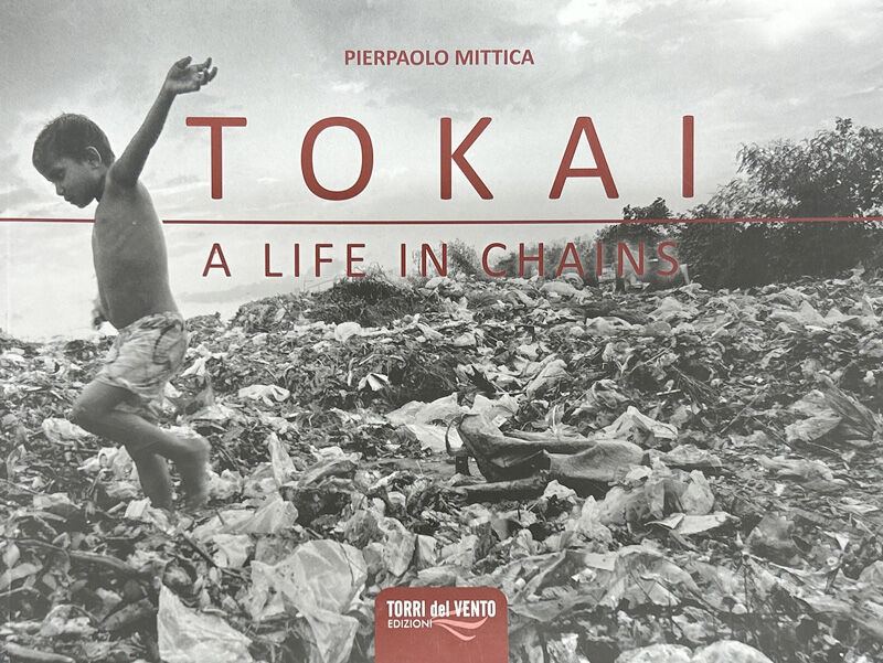 Copertina di Tokai