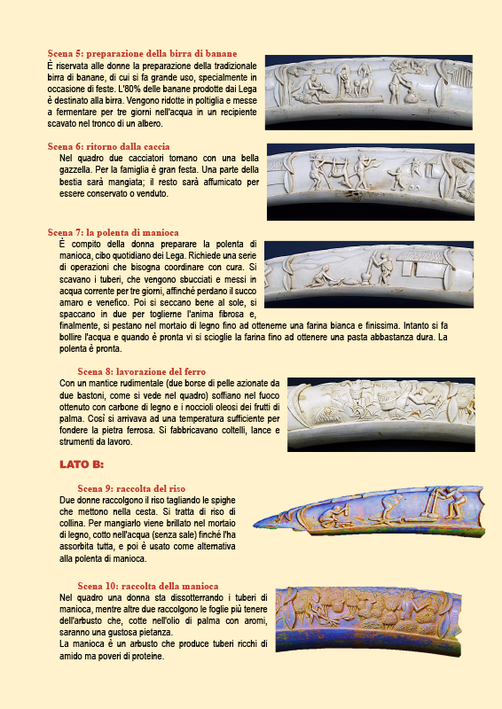 Illustrazione 5