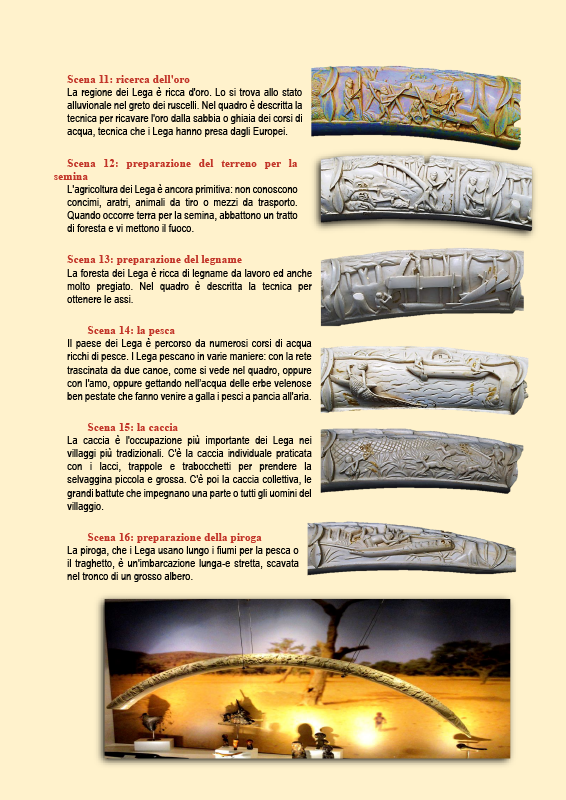 Illustrazione 6