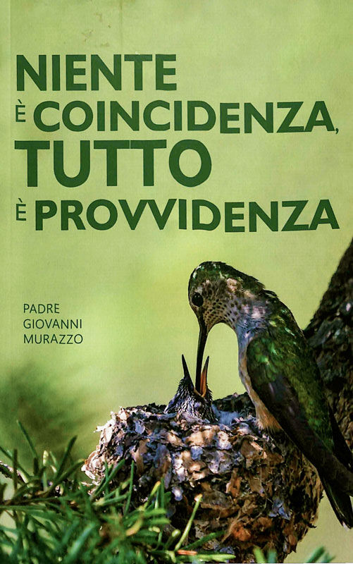 Copertina di Niente è coincidenza, tutto è provvidenza