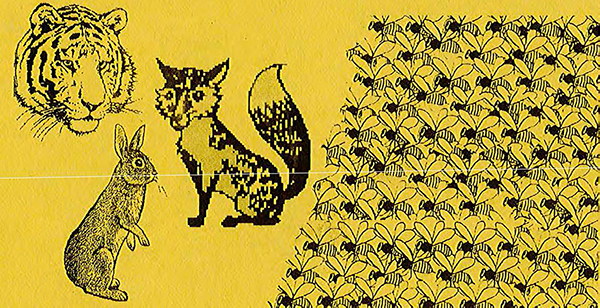 Copertina di 05.Favole Bengalesi