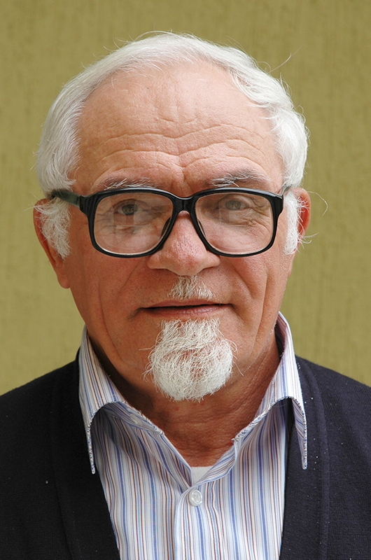 Copertina di 2013.12 - P. Giuliano Varalta