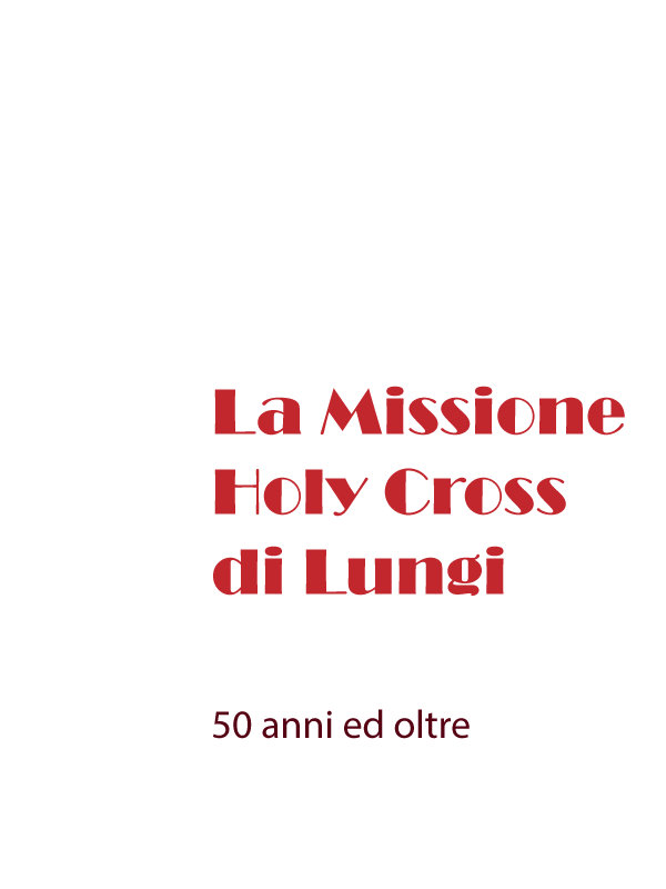 Copertina di La Missione Holy Cross di Lungi