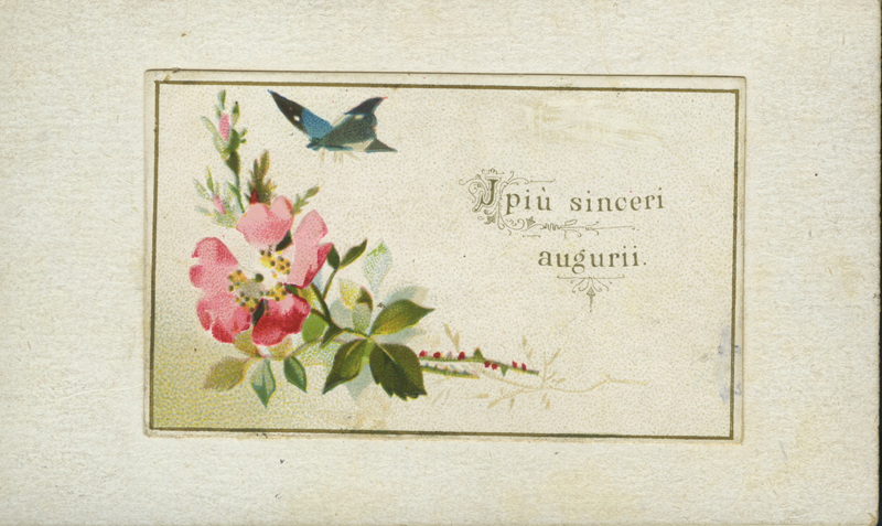 Copertina di 1883-1886.Auguri di buon anno a Merope Conforti