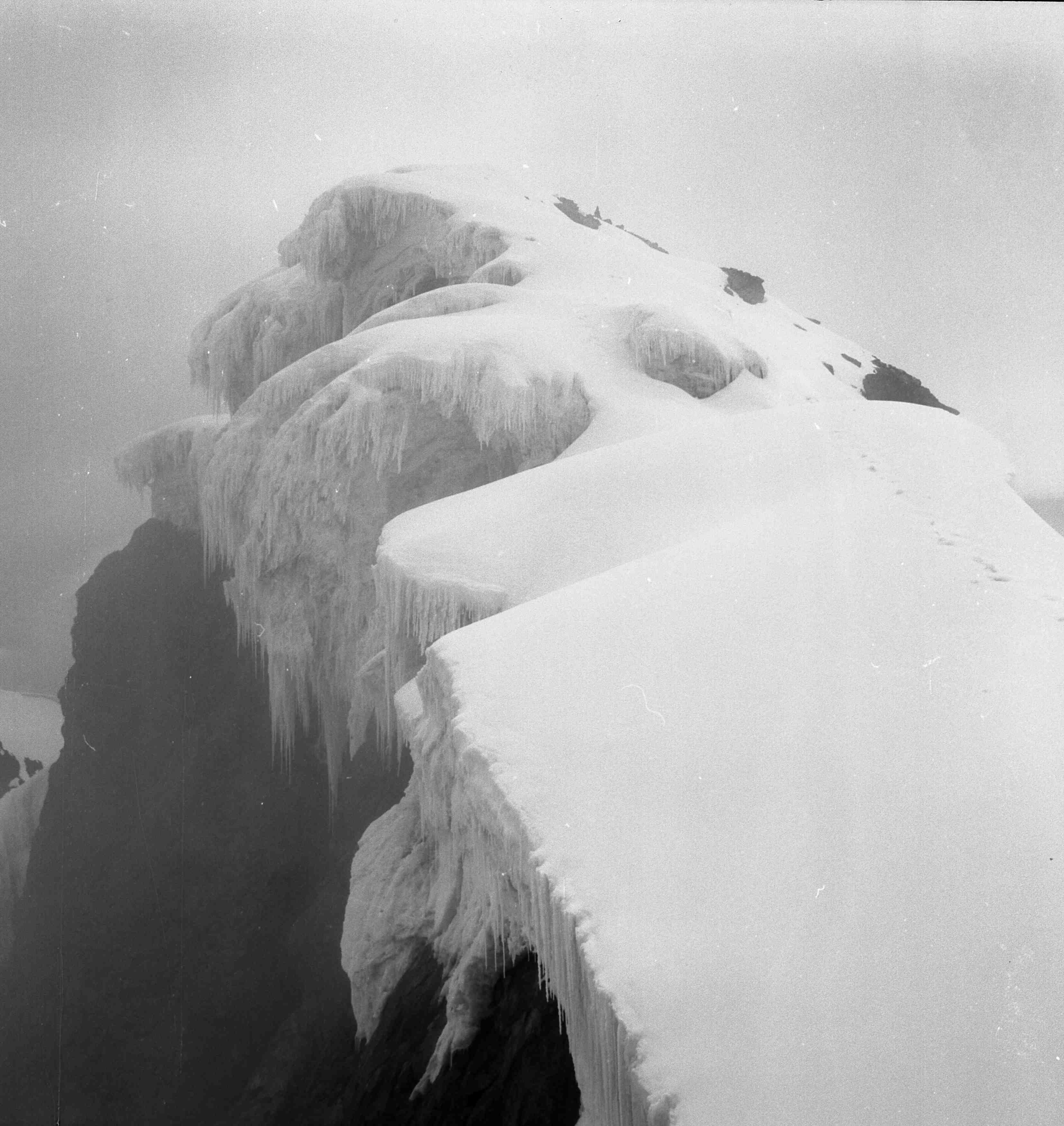 Copertina di Montagne d'Africa