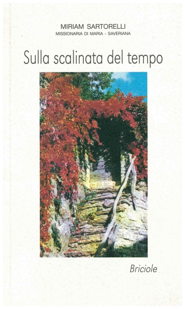 Copertina di Sulla scalinata del tempo