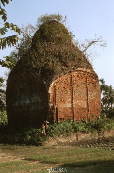4623 02 jessore77 025