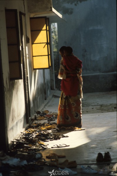 4629 08 satkhira88 001