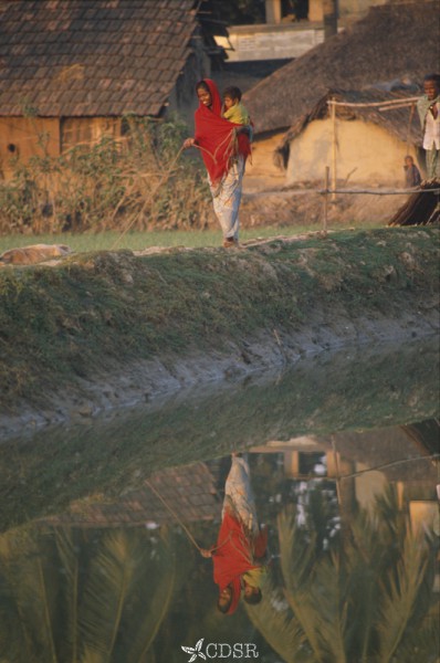 4629 08 satkhira88 148