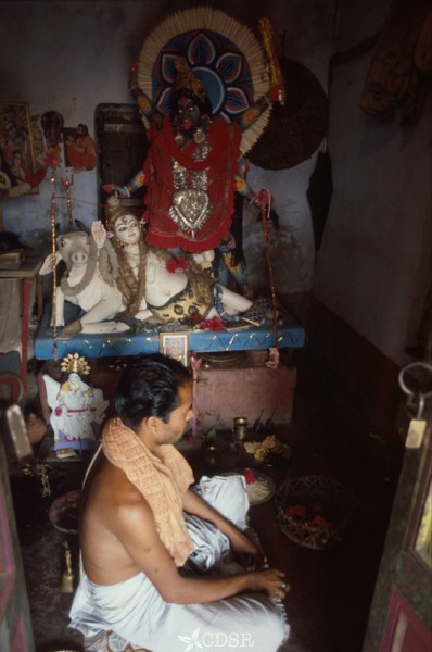 4631 10 chuknagar88 180