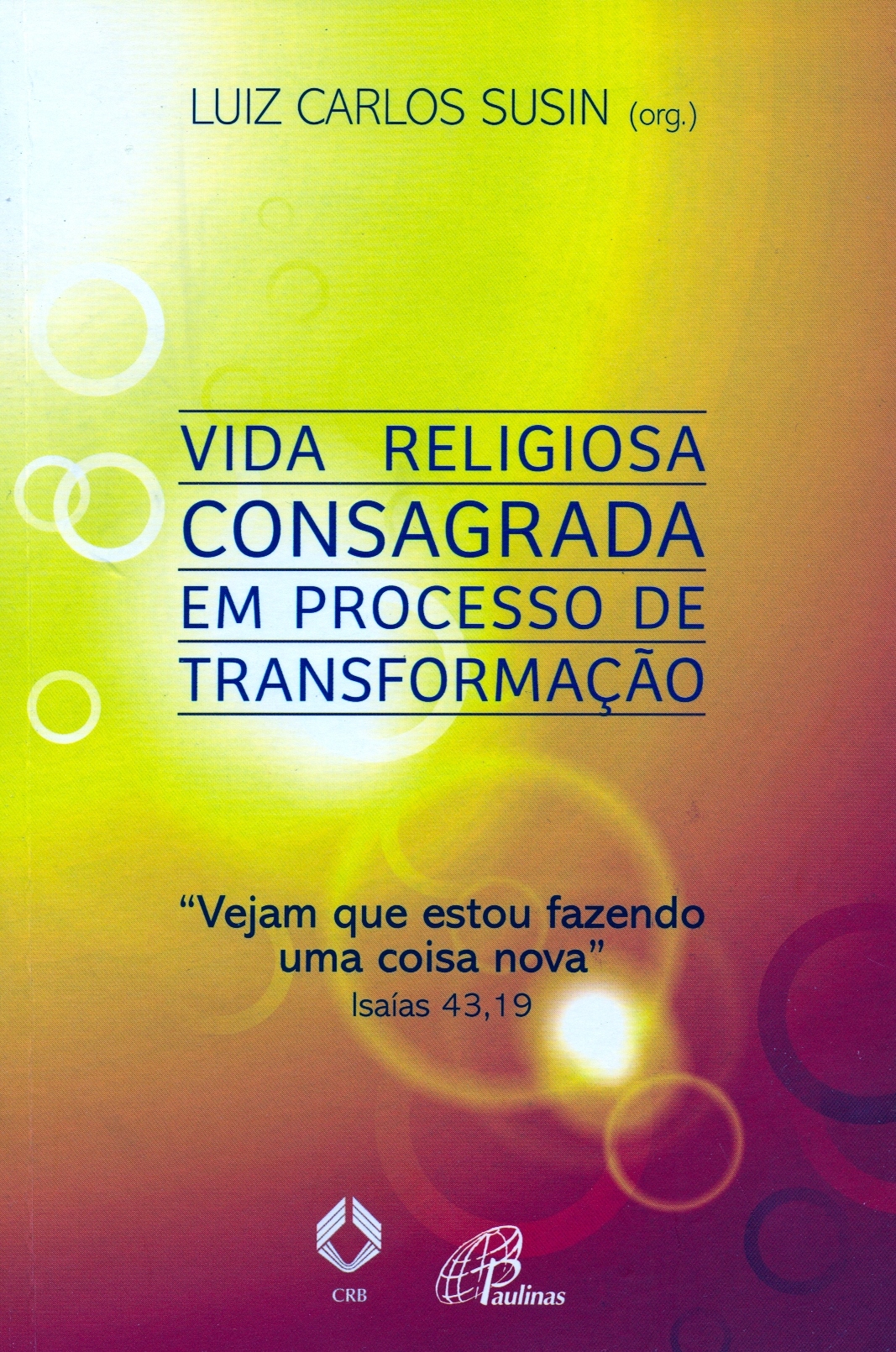 Copertina di Vida religiosa consagrada em processo de transformação