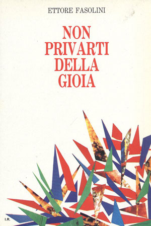 Copertina di Non privarti della gioia