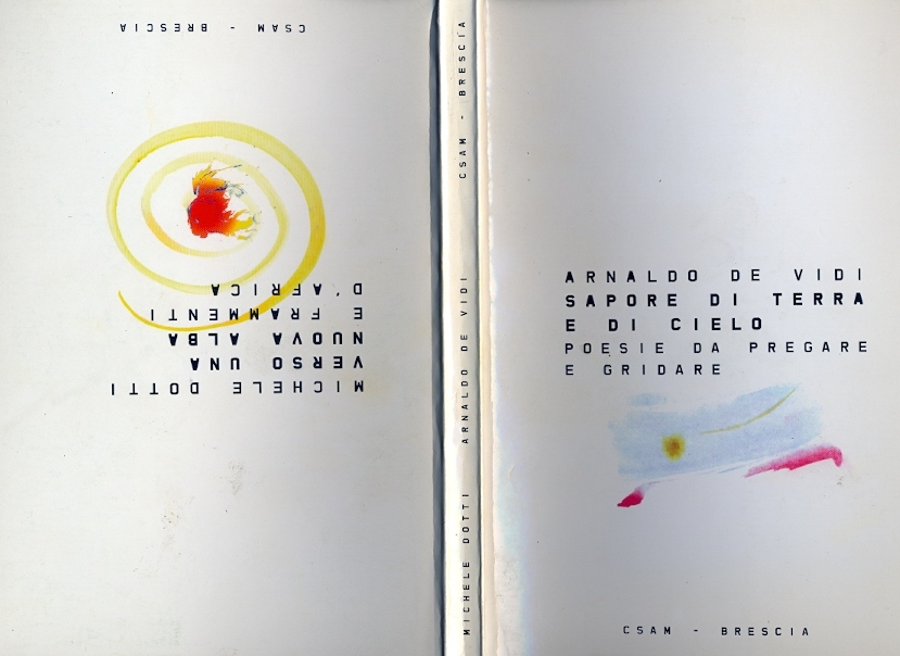 Copertina di Sapore di terra e di cielo / Verso una nuova alba