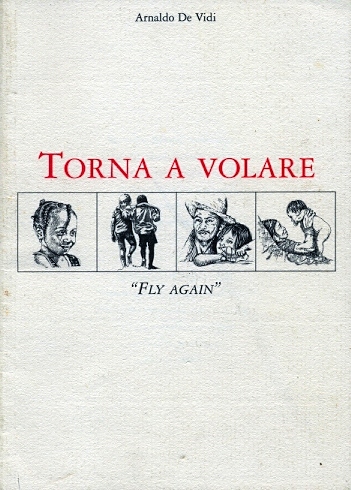 Copertina di Torna a volare 