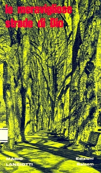 Copertina di Le meravigliose strade di Dio