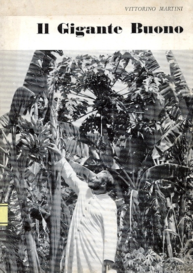 Copertina di Il Gigante Buono