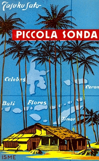 Copertina di Piccola sonda
