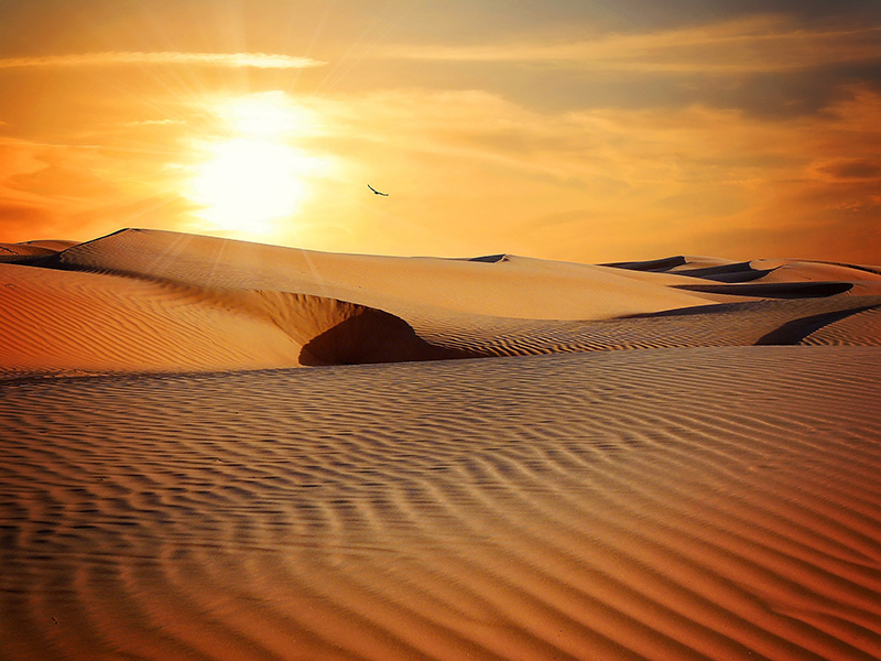 luce nel deserto